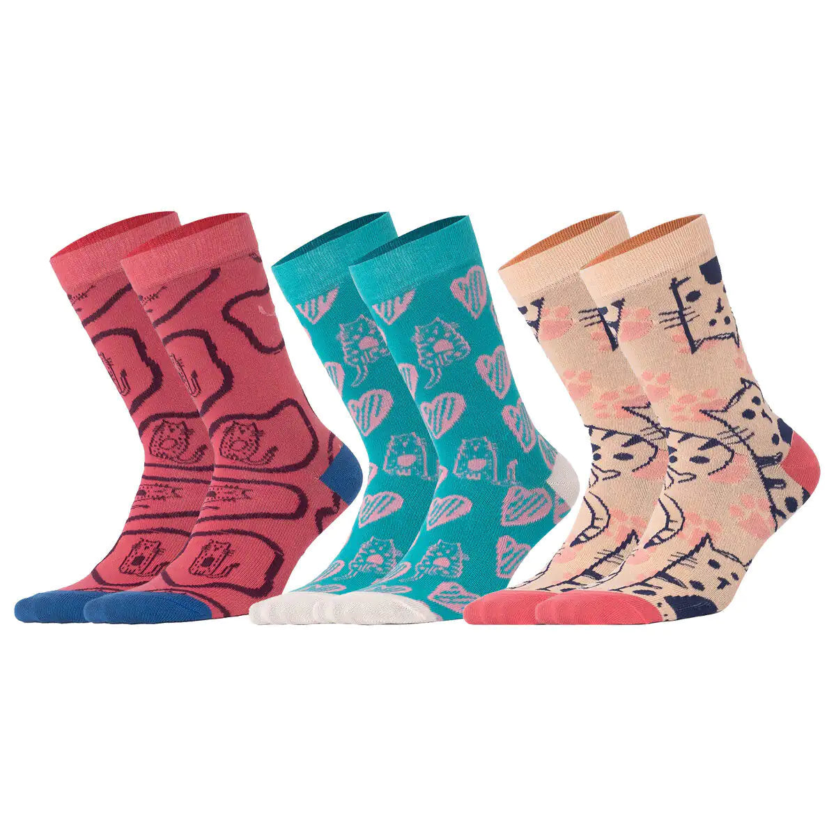 Biggdesign Cats 5 Pcs Women Soxy Socket Socks